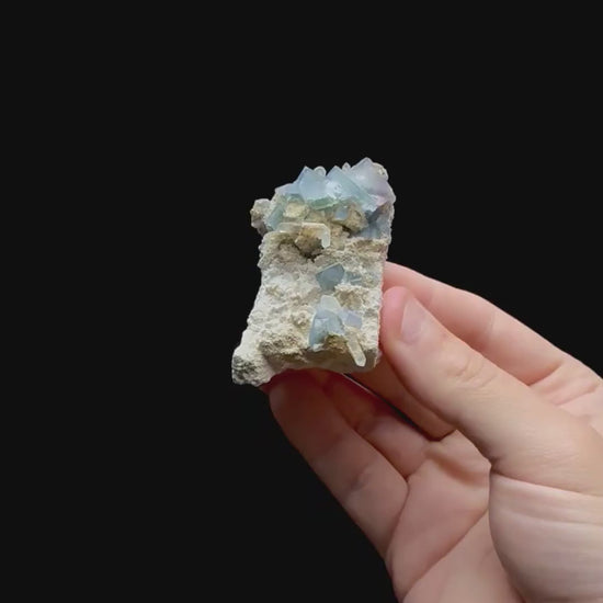 Specimen rotation video 0403