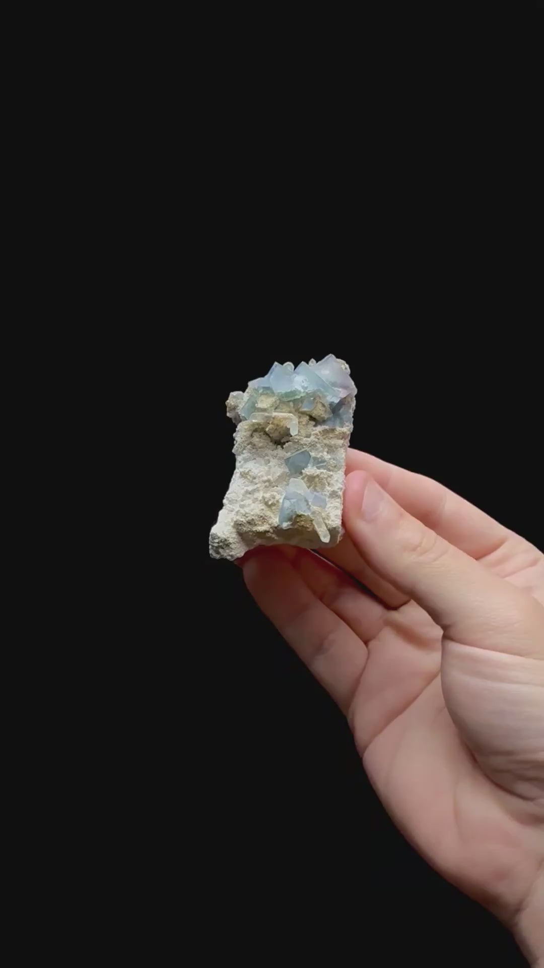 Specimen rotation video 0403