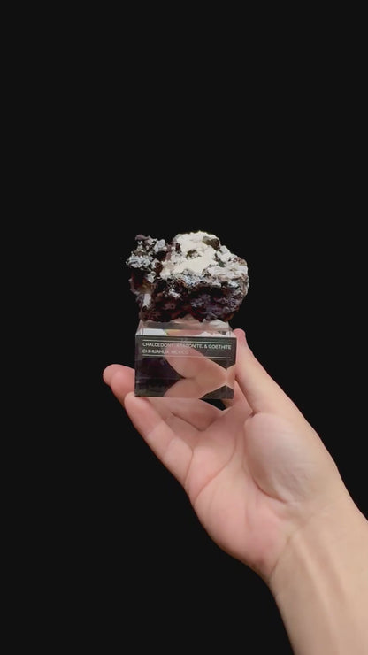 Specimen rotation video 0377