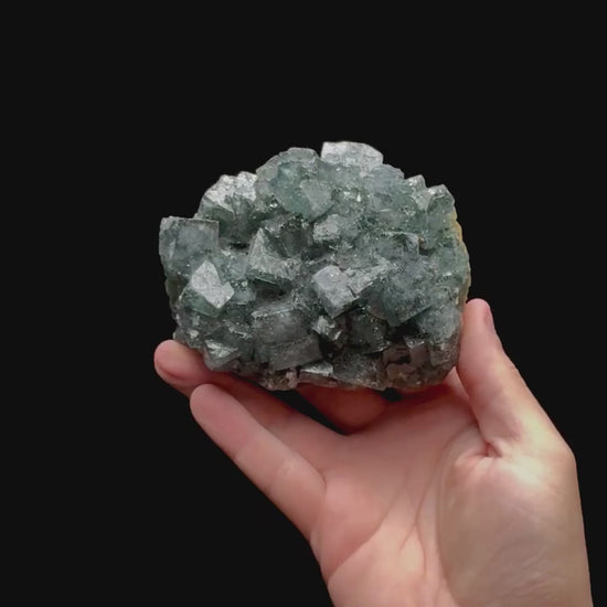 Specimen rotation video 0433