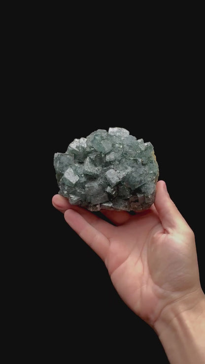 Specimen rotation video 0433