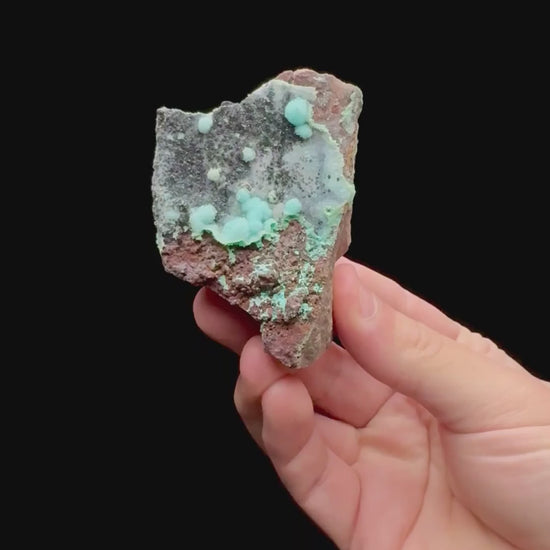 Specimen rotation video 135