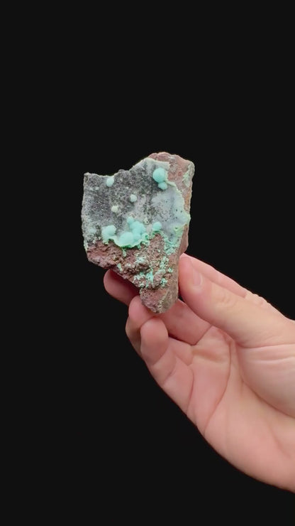 Specimen rotation video 135