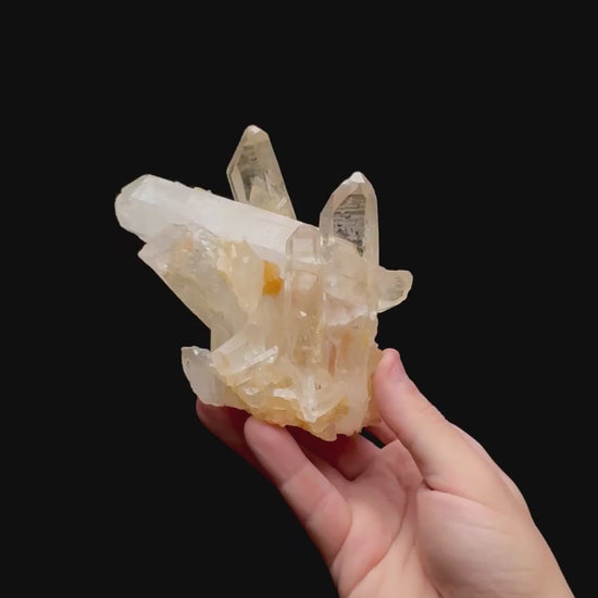 Specimen rotation video 0479
