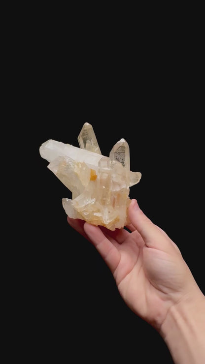 Specimen rotation video 0479