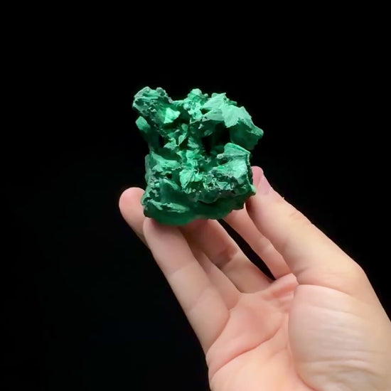 Specimen rotation video 0596