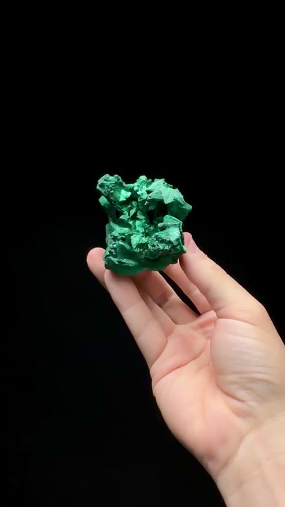 Specimen rotation video 0596