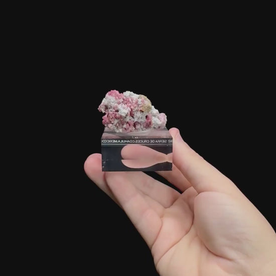 Specimen rotation video 0497