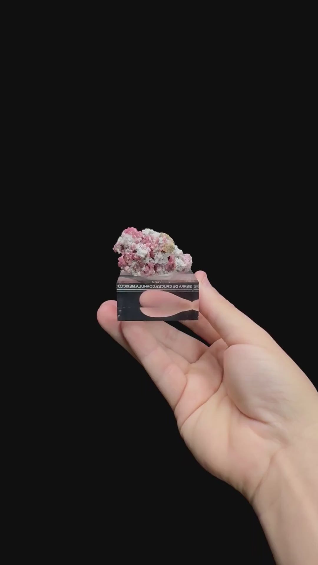 Specimen rotation video 0497