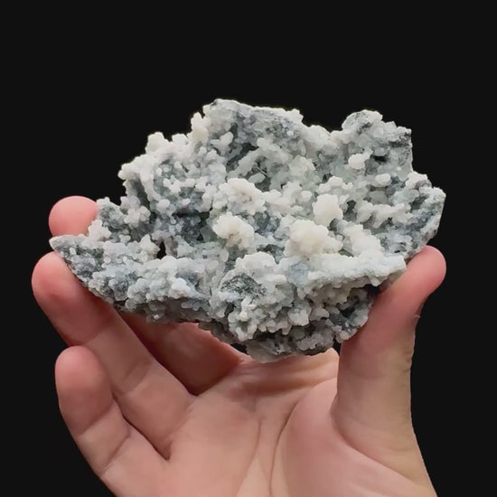 Specimen rotation video 072