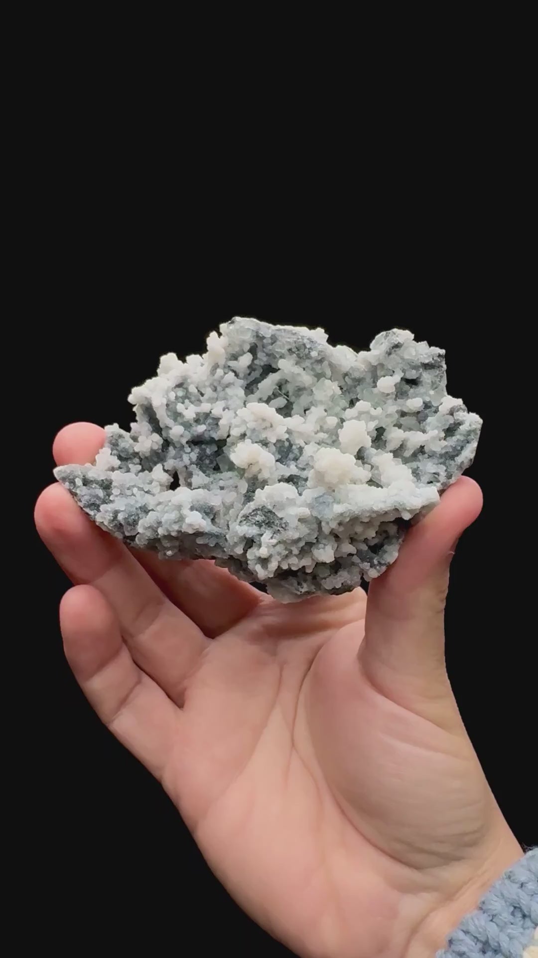 Specimen rotation video 072
