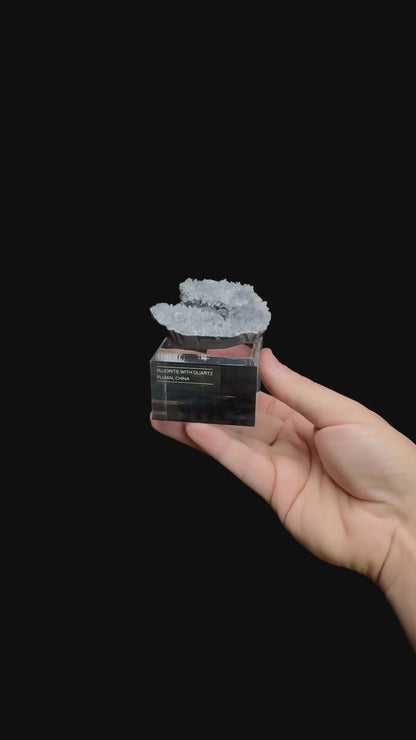 Specimen rotation video 0510