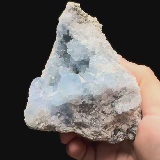 Specimen rotation video 634