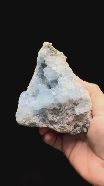 Specimen rotation video 634