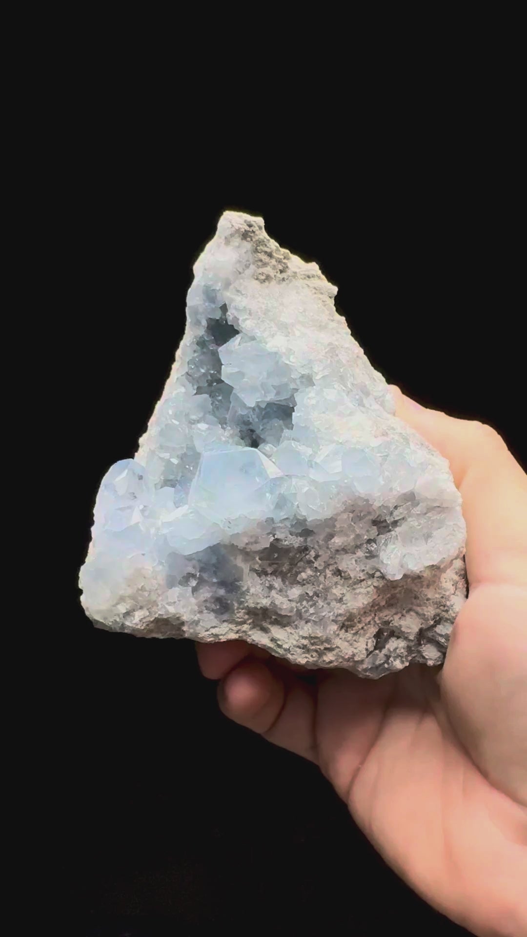 Specimen rotation video 634