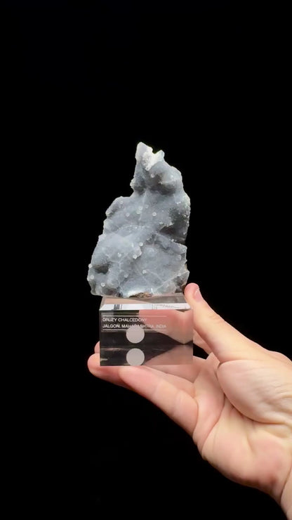Specimen rotation video 0664