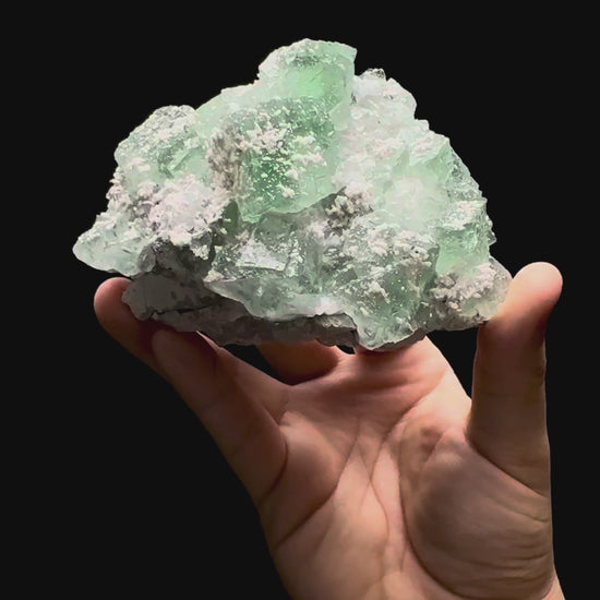 Specimen rotation video 340