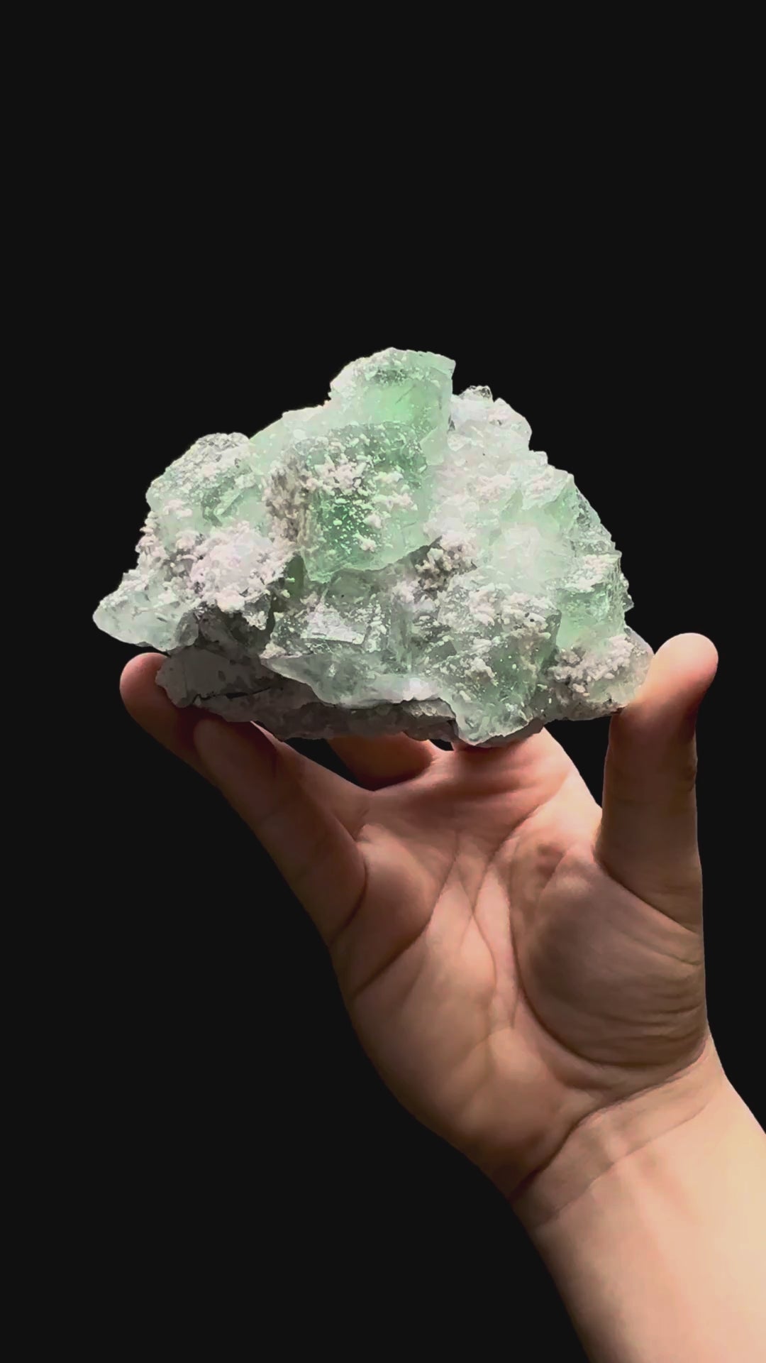 Specimen rotation video 340