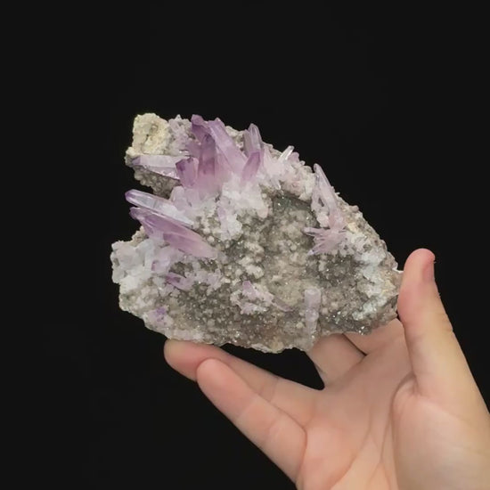 Specimen rotation video 0708
