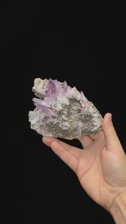 Specimen rotation video 0708