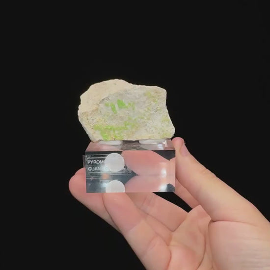 Specimen rotation video 0697