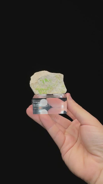 Specimen rotation video 0697