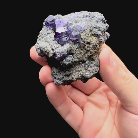 Specimen rotation video 621
