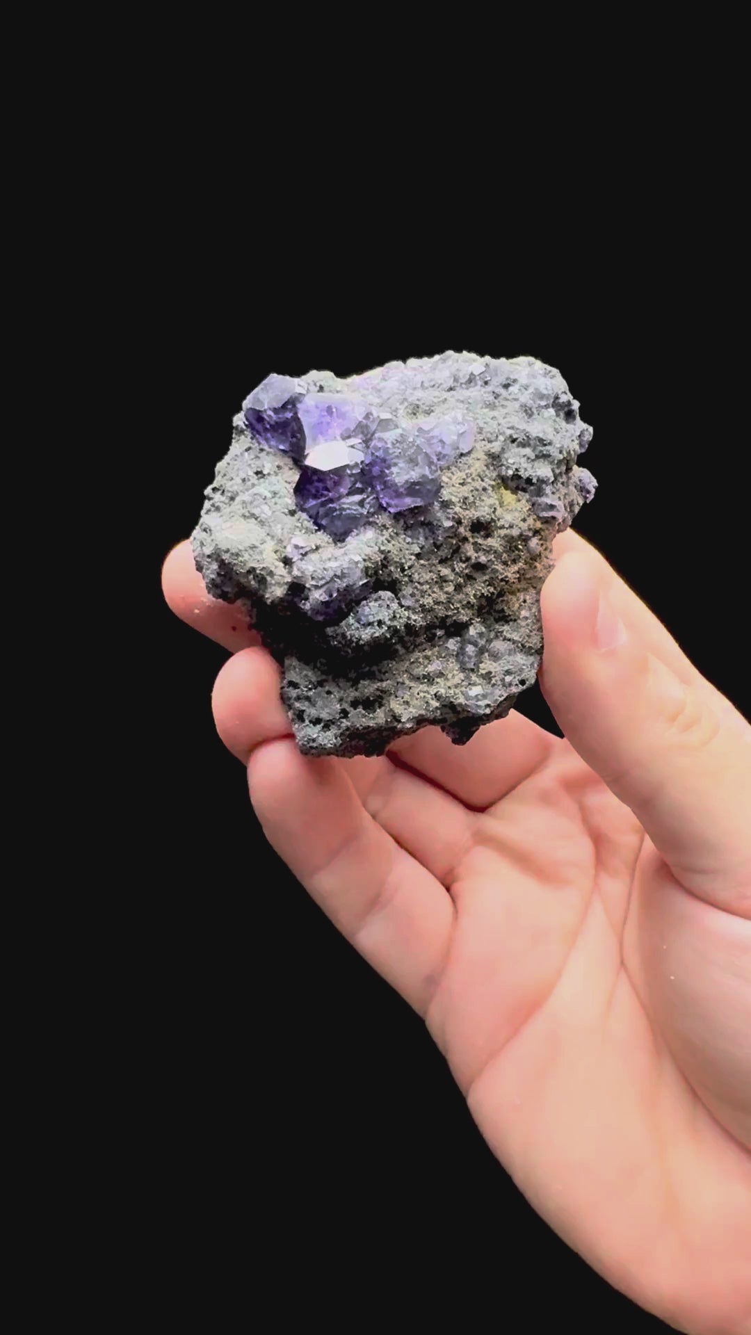 Specimen rotation video 621