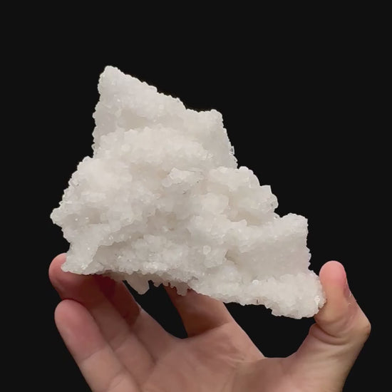 Specimen rotation video 065
