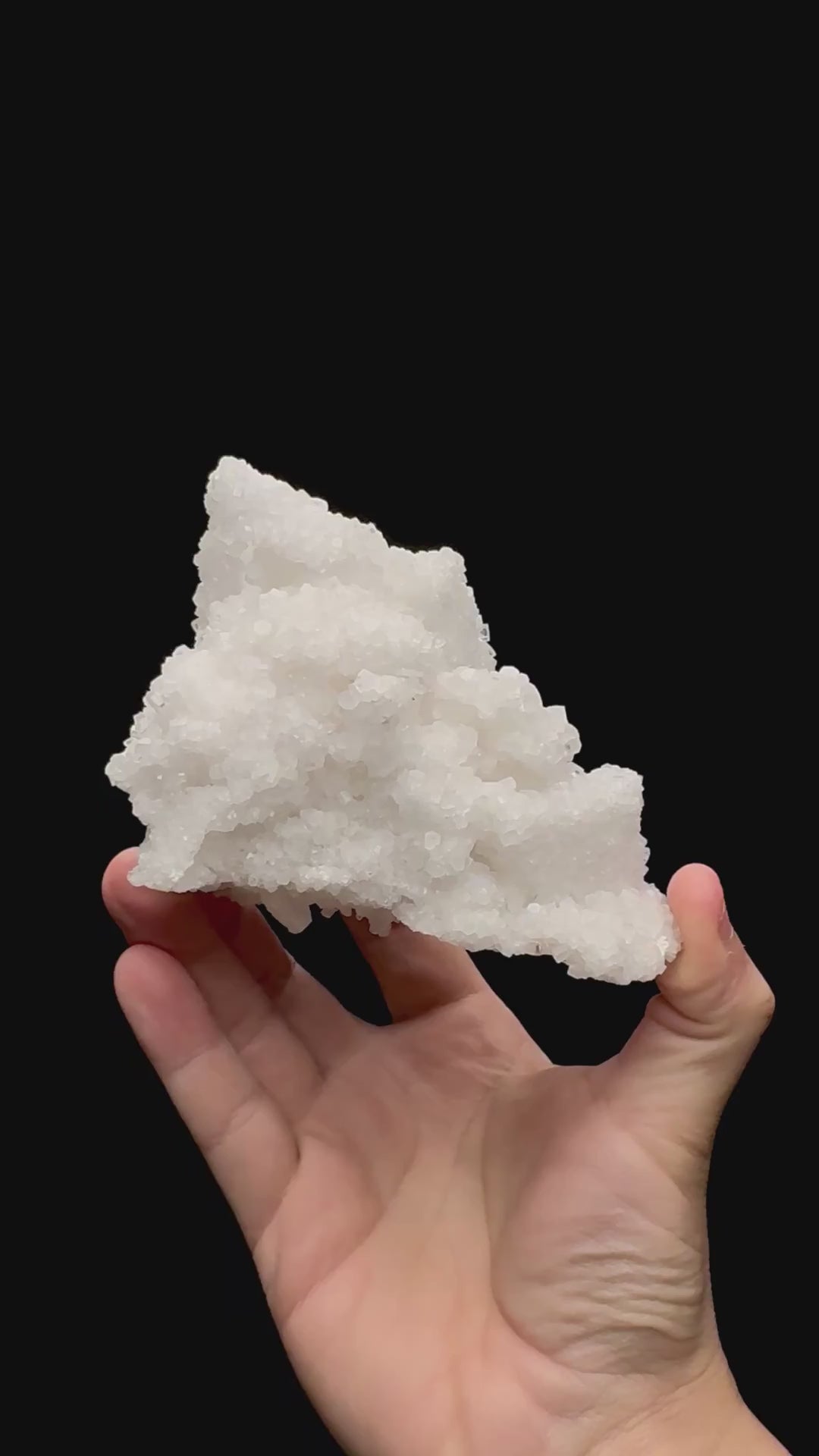 Specimen rotation video 065