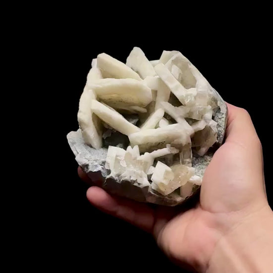 Specimen rotation video 0756