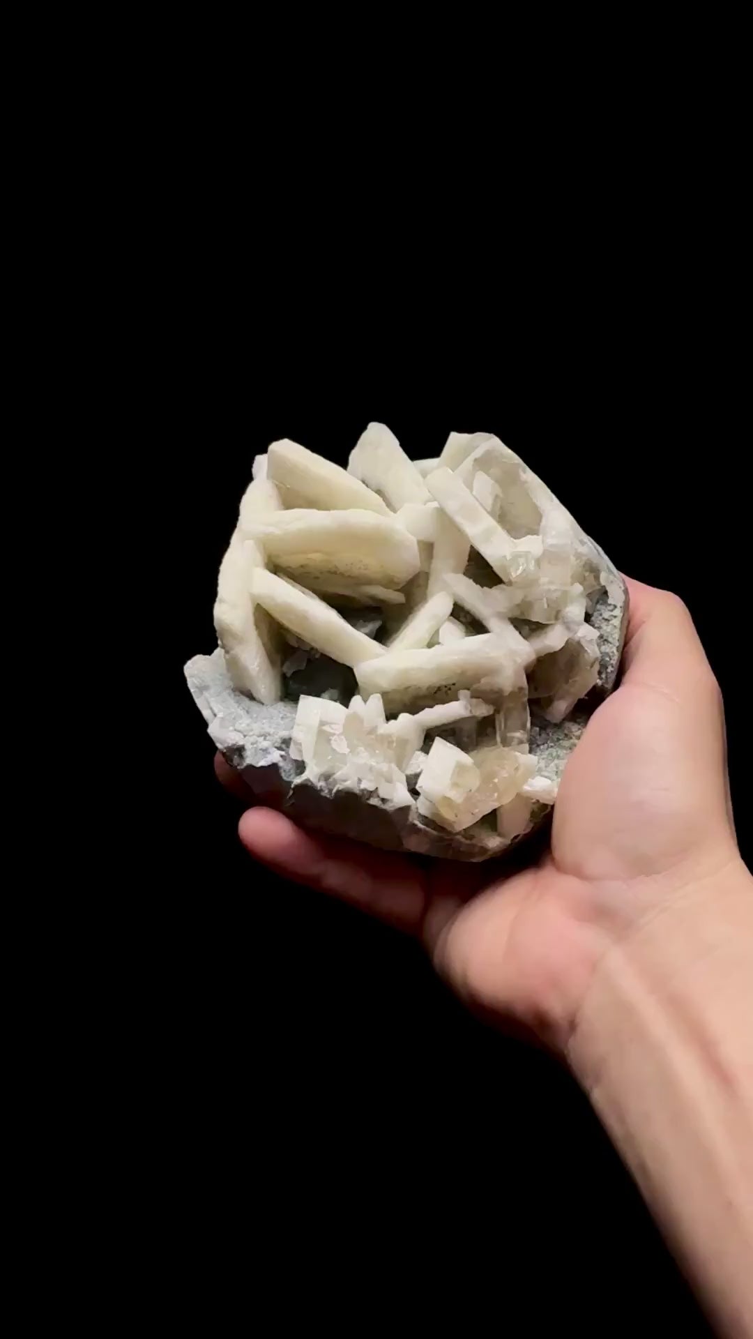 Specimen rotation video 0756