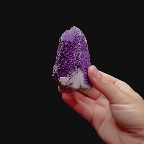 Specimen rotation video 0271