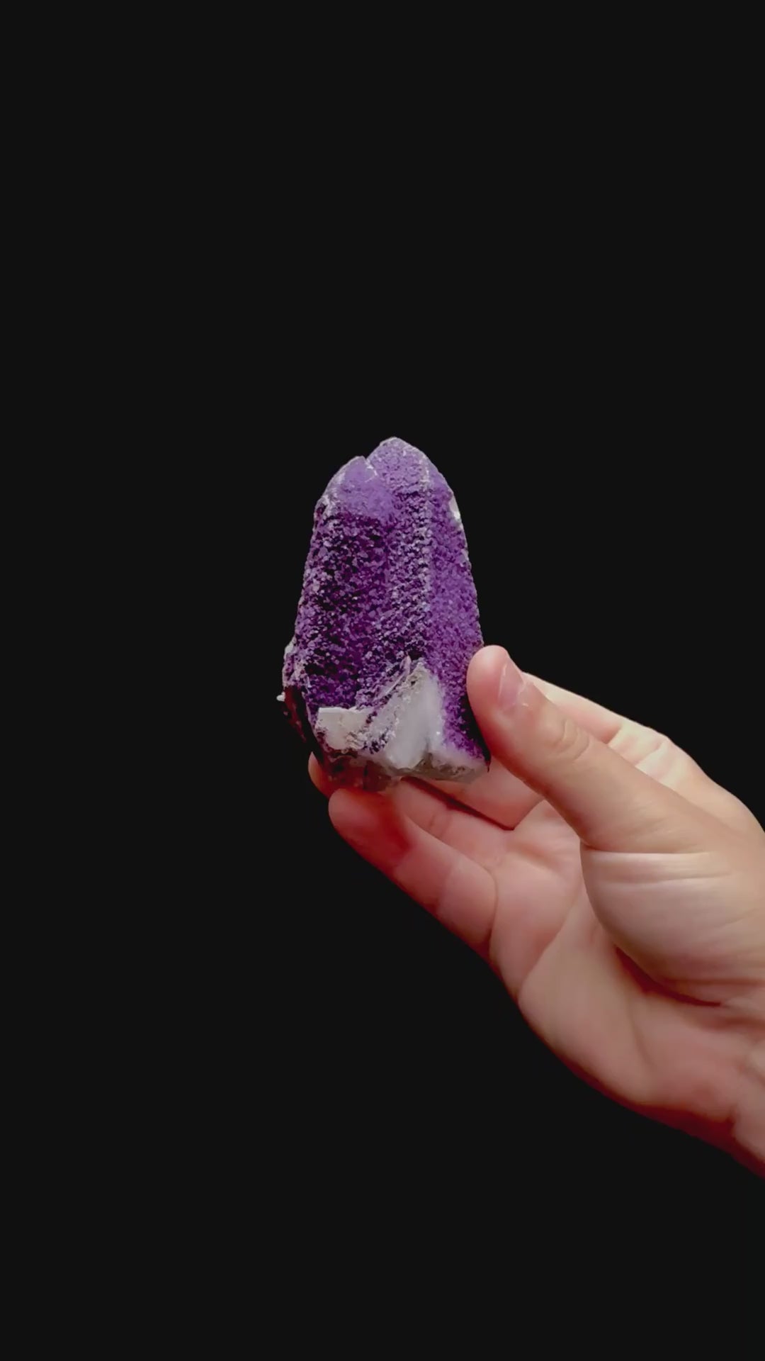 Specimen rotation video 0271