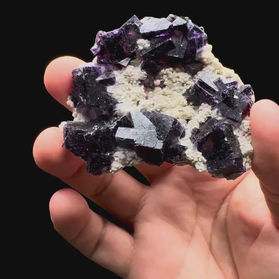 Specimen rotation video 426