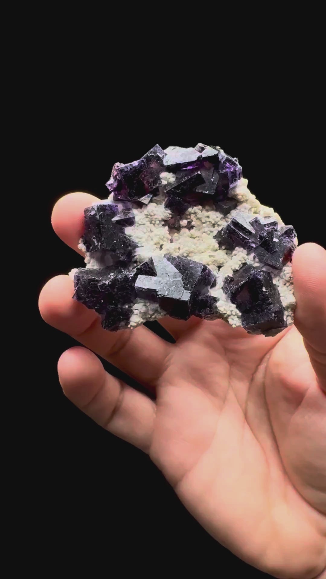 Specimen rotation video 426