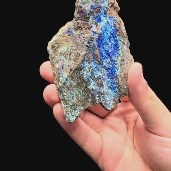 Specimen rotation video 497