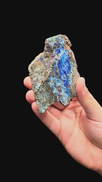 Specimen rotation video 497