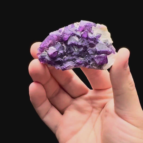 Specimen rotation video 604