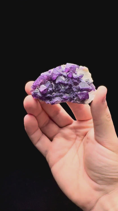 Specimen rotation video 604