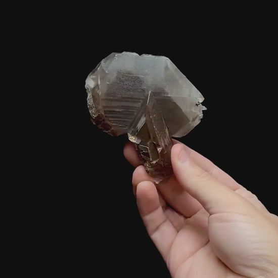Specimen rotation video 0363