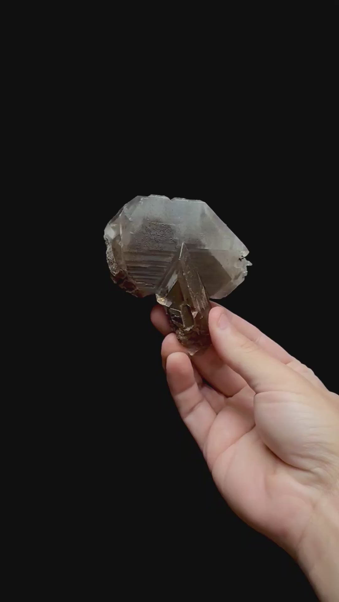 Specimen rotation video 0363