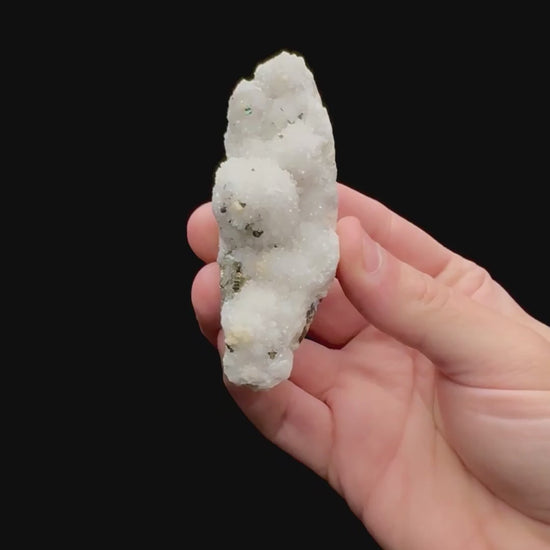 Specimen rotation video 080