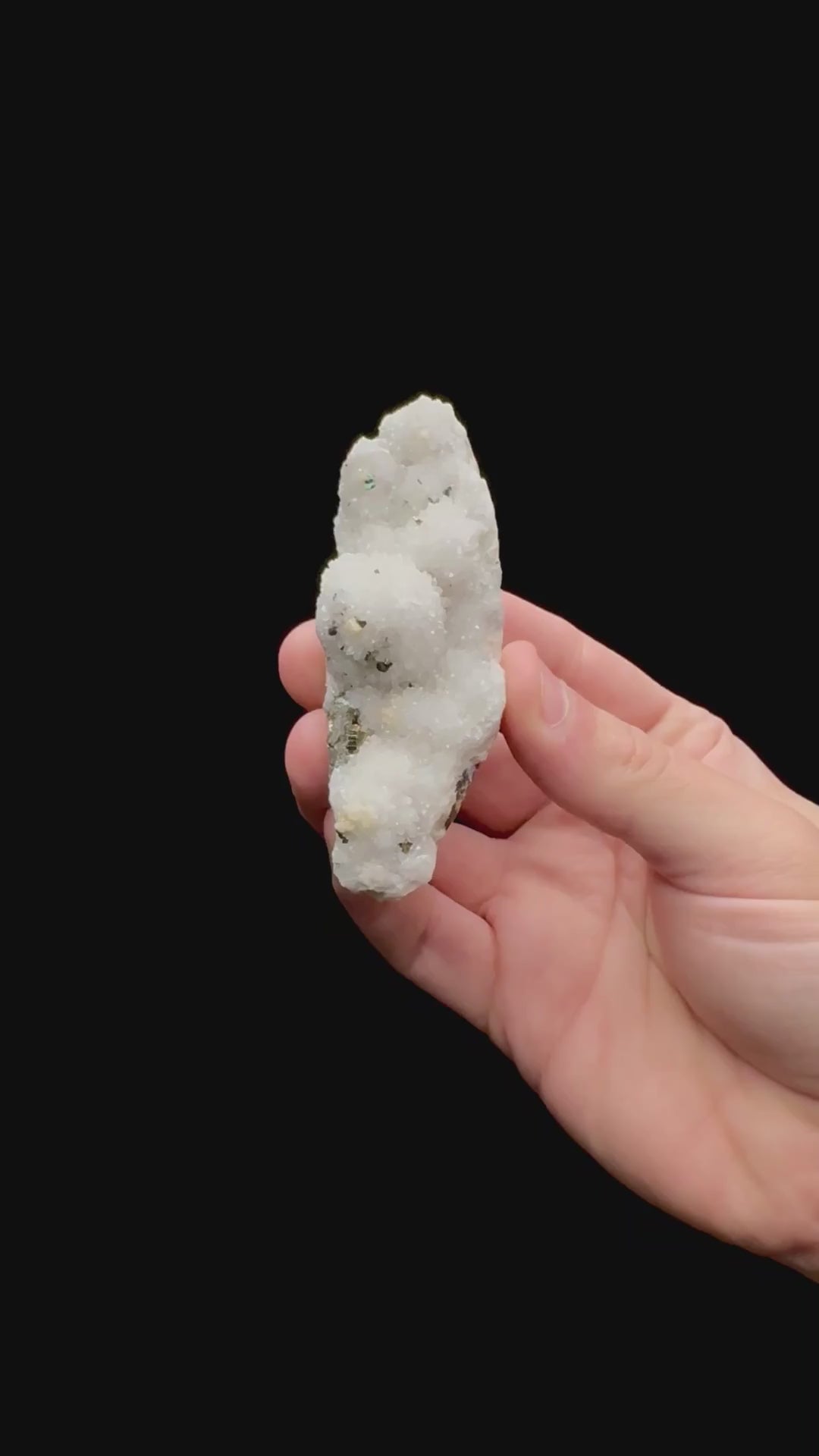Specimen rotation video 080
